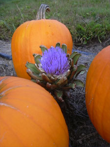 Click to enlarge image in a resizable window.